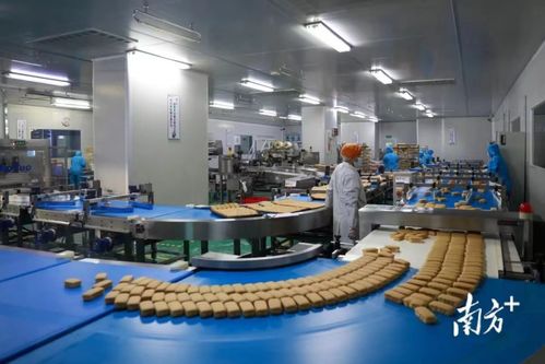 東莞市政府發(fā)布2022年一號文，大力推動數(shù)字經(jīng)濟高質量發(fā)展與金融服務深度融合